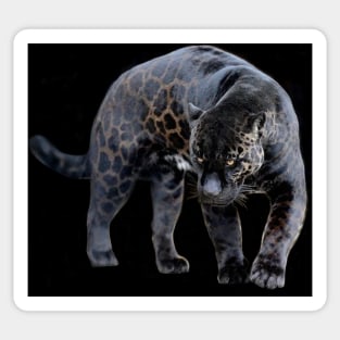 Jaguar Diablo black Sticker